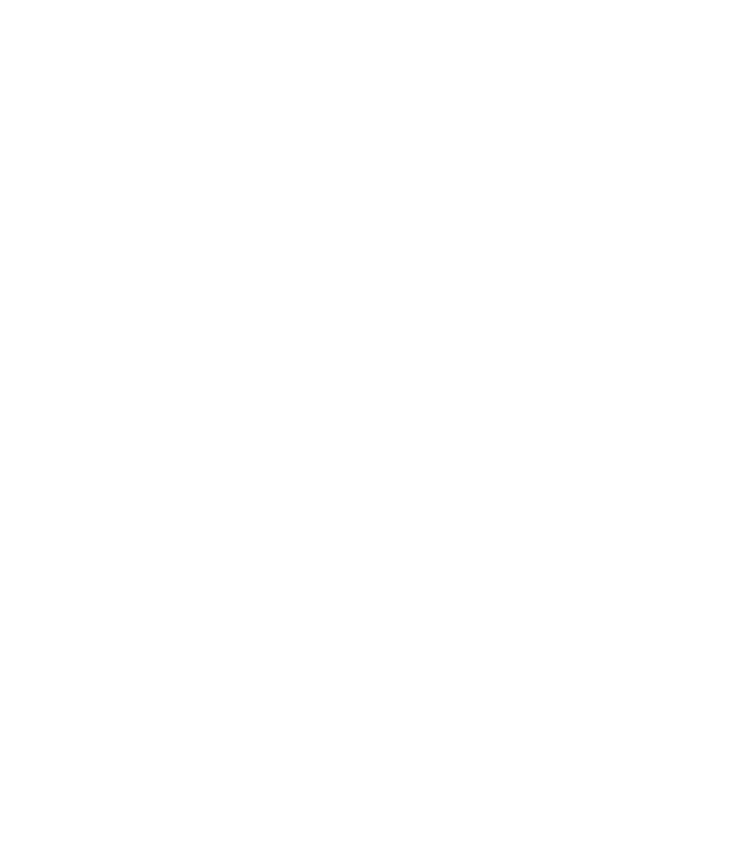 NexusDWeb Logo